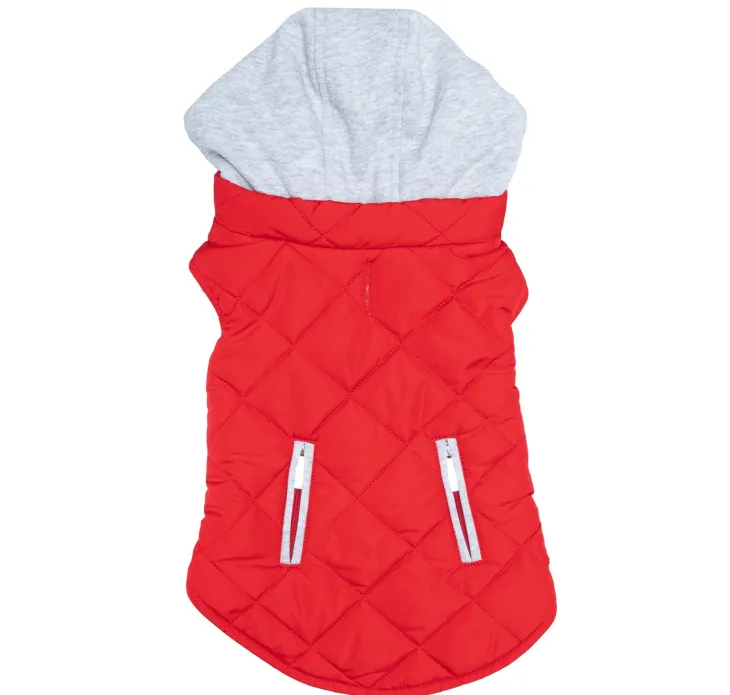 Dexter's Pet Boutique