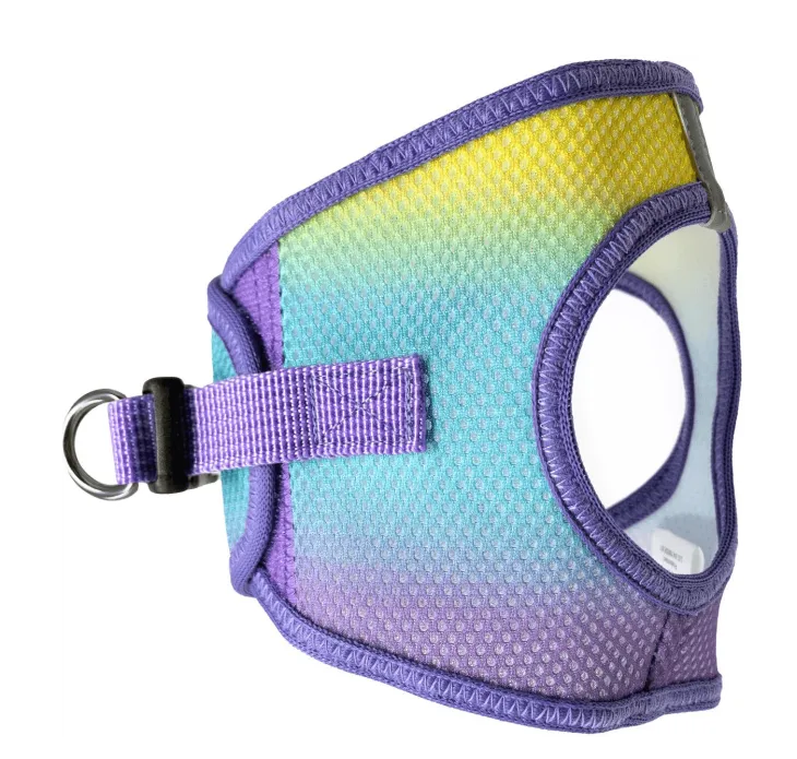 Dexter's Pet Boutique