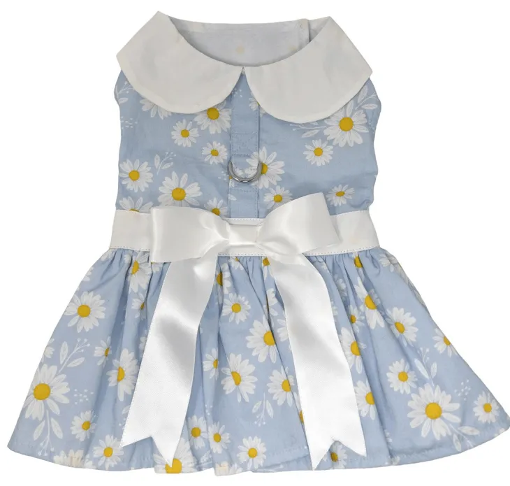 Dexter's Pet Boutique