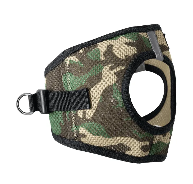 Dexter's Pet Boutique