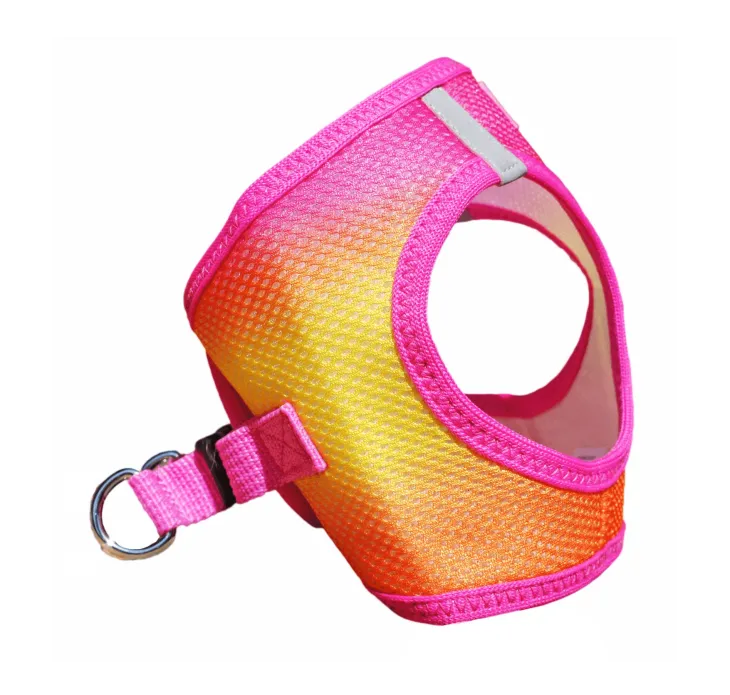 Dexter's Pet Boutique