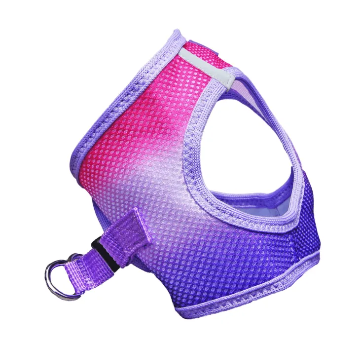 Dexter's Pet Boutique