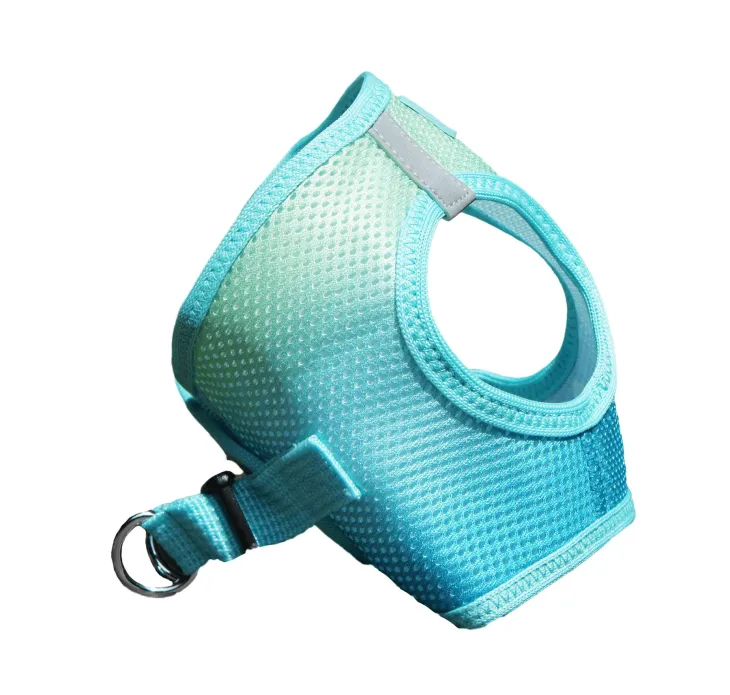 Dexter's Pet Boutique