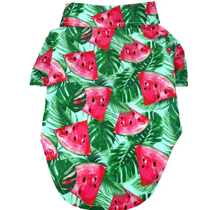 Dexter's Pet Boutique 