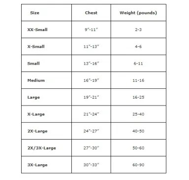 Dexter's Pet Boutique