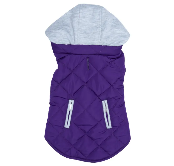 Dexter's Pet Boutique