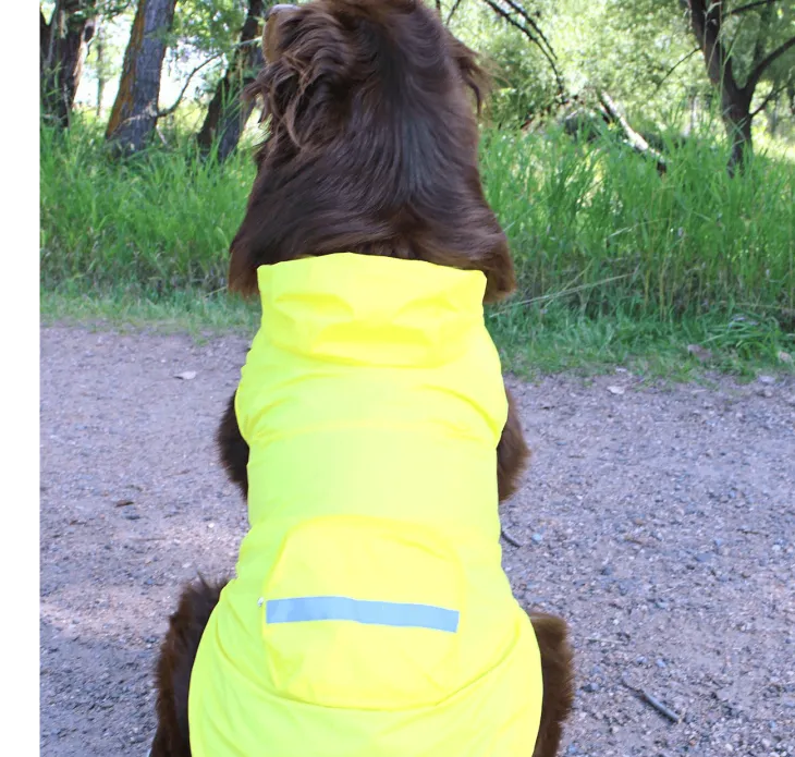 Dexter's Pet Boutique 