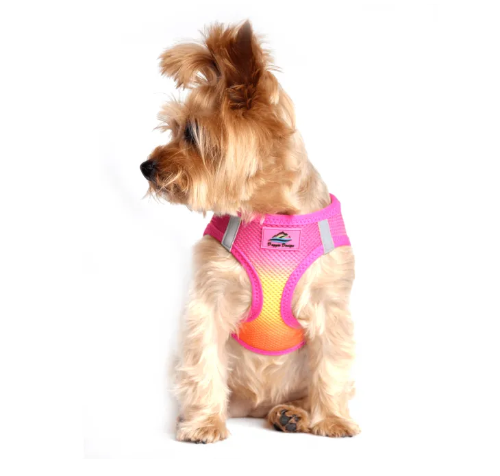 Dexter's Pet Boutique