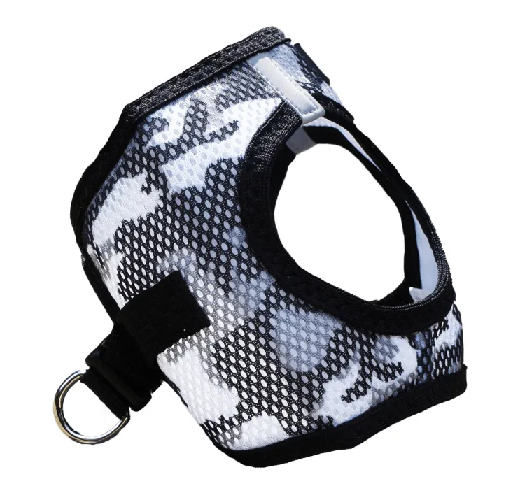 Dexter's Pet Boutique 