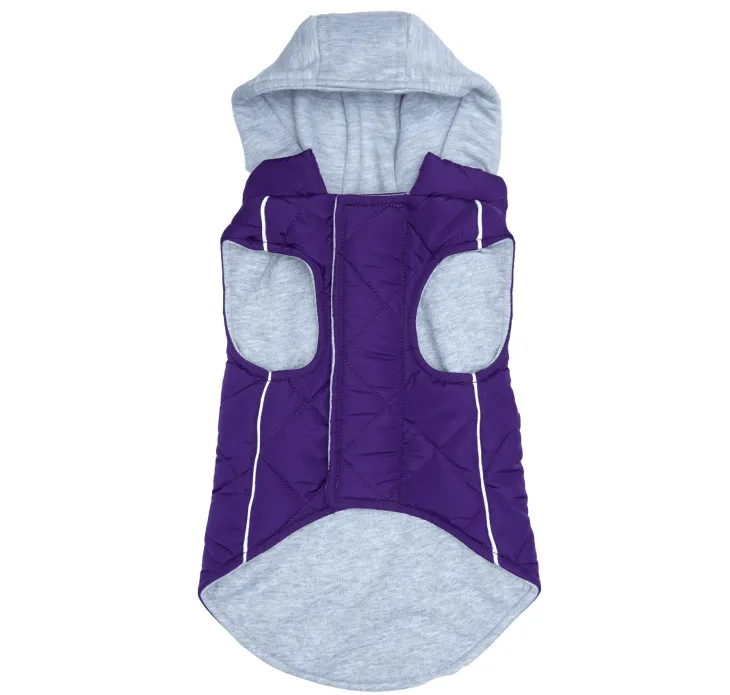 Dexter's Pet Boutique