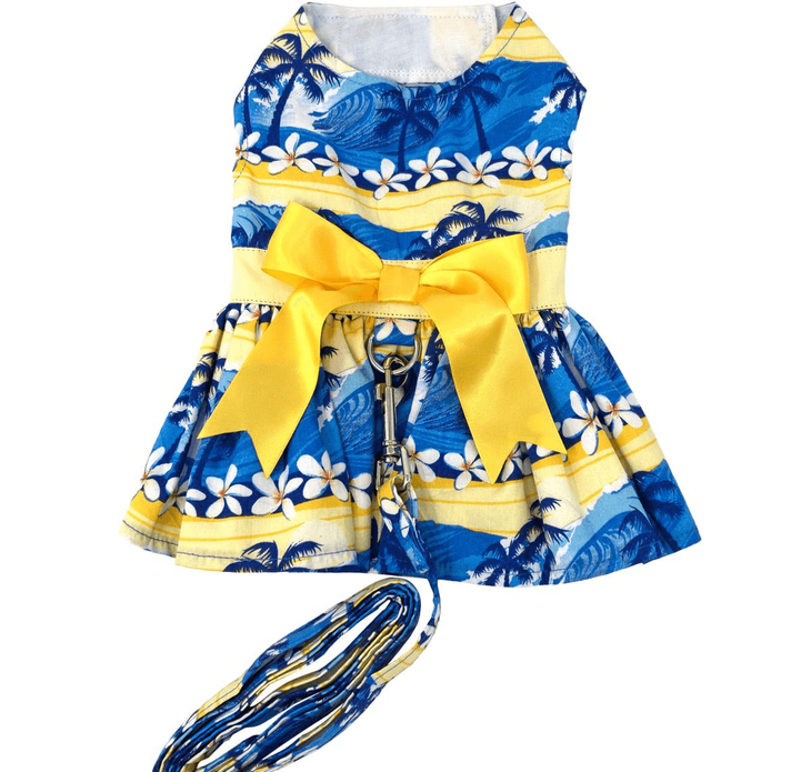 Dexter's Pet Boutique