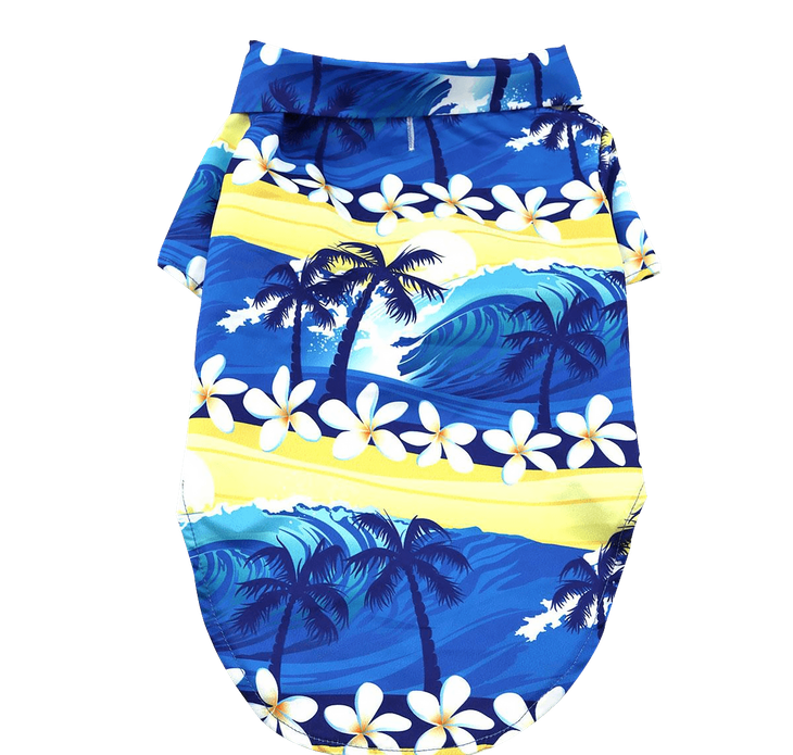 Dexter's Pet Boutique