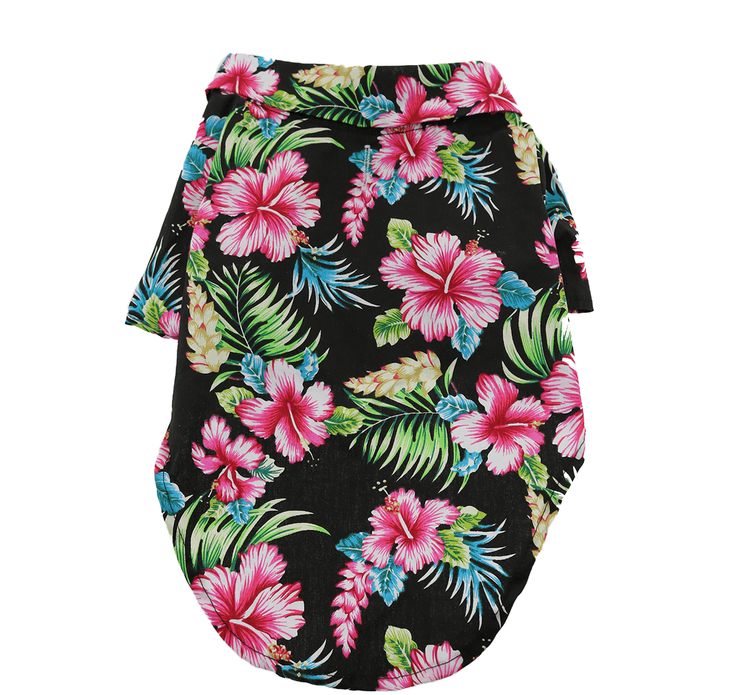 Dexter's Pet Boutique