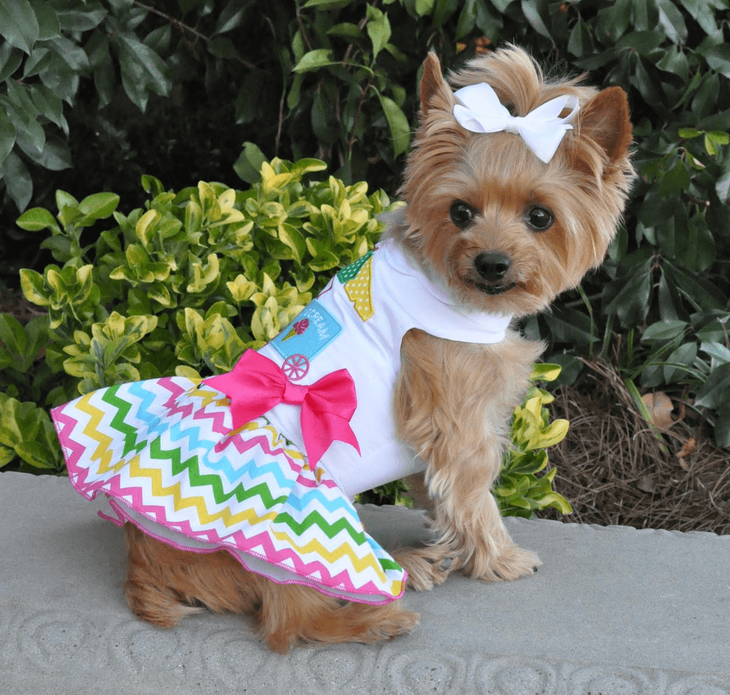 Dexter's Pet Boutique