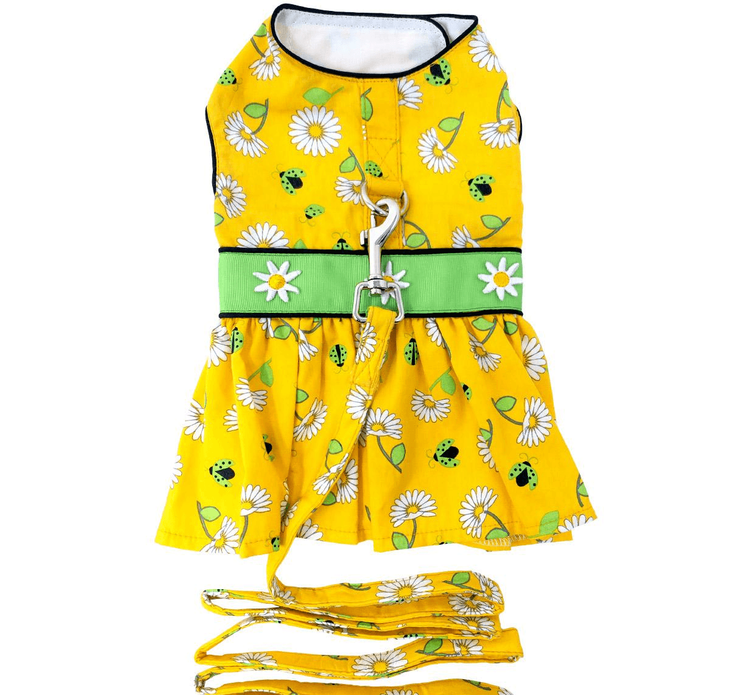 Dexter's Pet Boutique