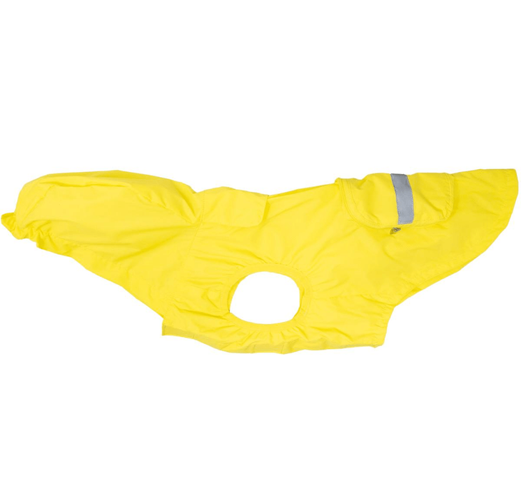 Dexter's Pet Boutique 