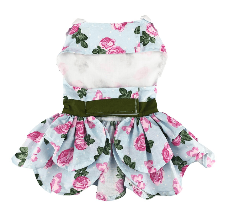 Dexter's Pet Boutique 