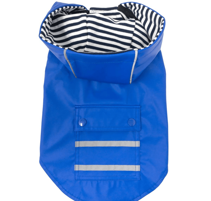 Dexter's Pet Boutique