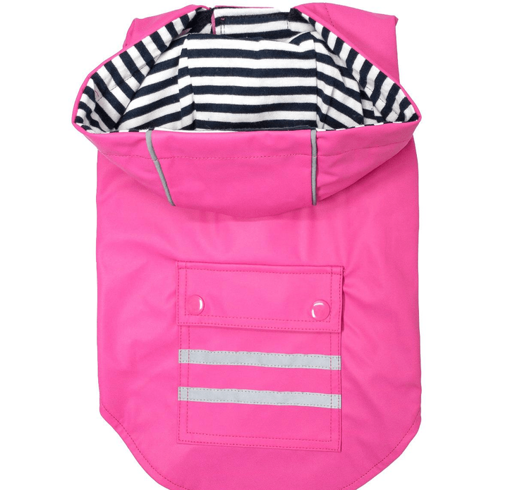 Dexter's Pet Boutique