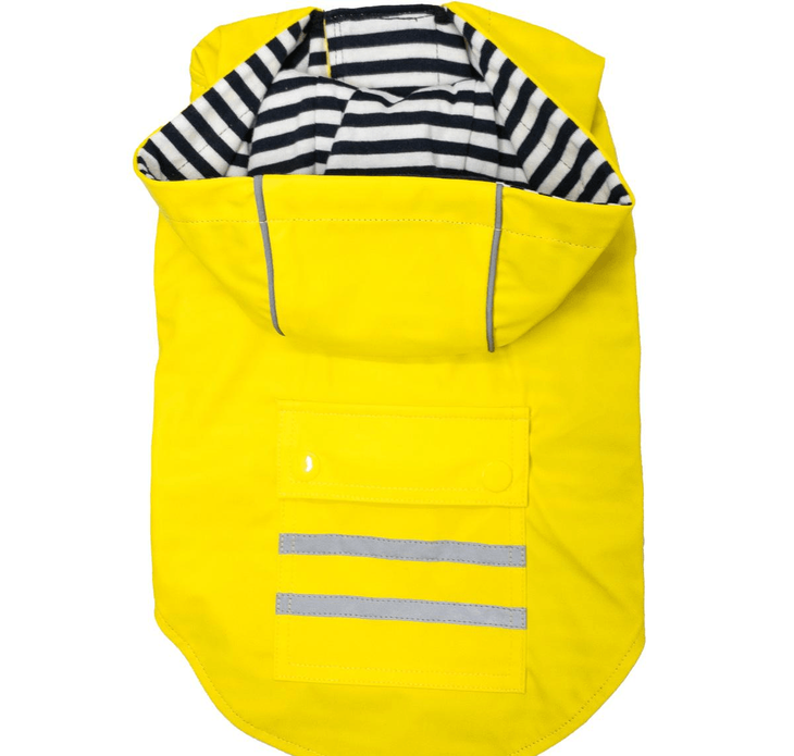 Dexter's Pet Boutique