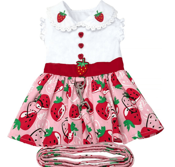 Dexter's Pet Boutique 