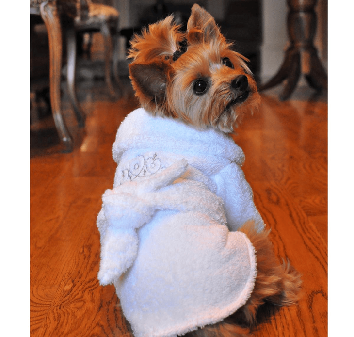 Dexter's Pet Boutique