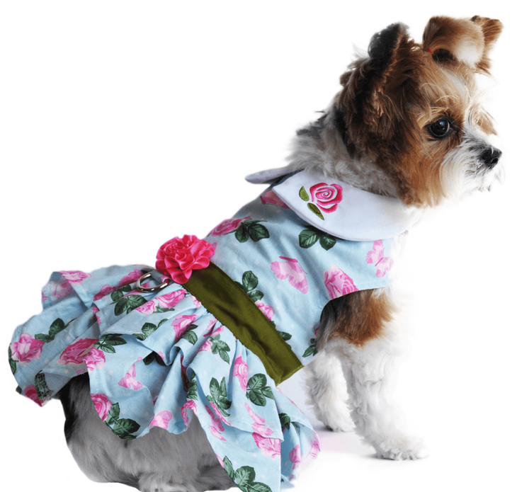 Dexter's Pet Boutique 