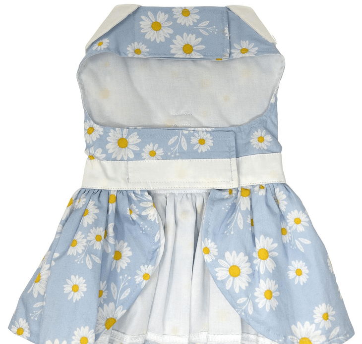 Dexter's Pet Boutique