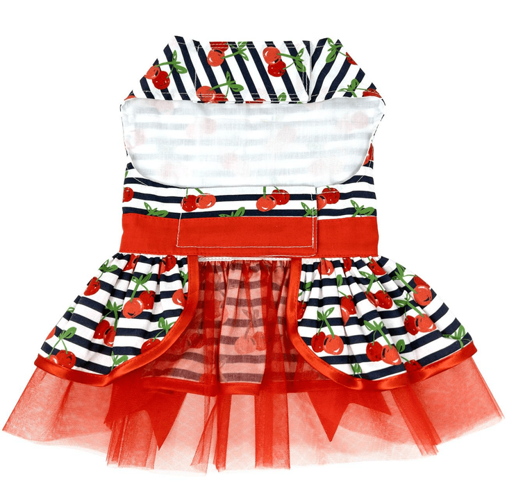 Dexter's Pet Boutique 