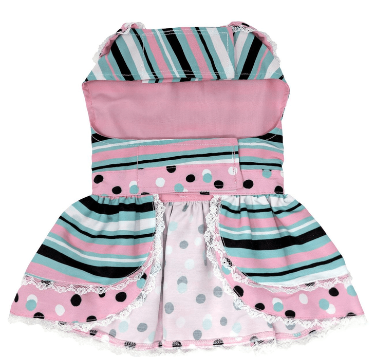 Dexter's Pet Boutique 