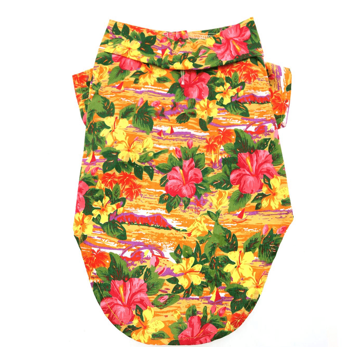 Dexter's Pet Boutique 