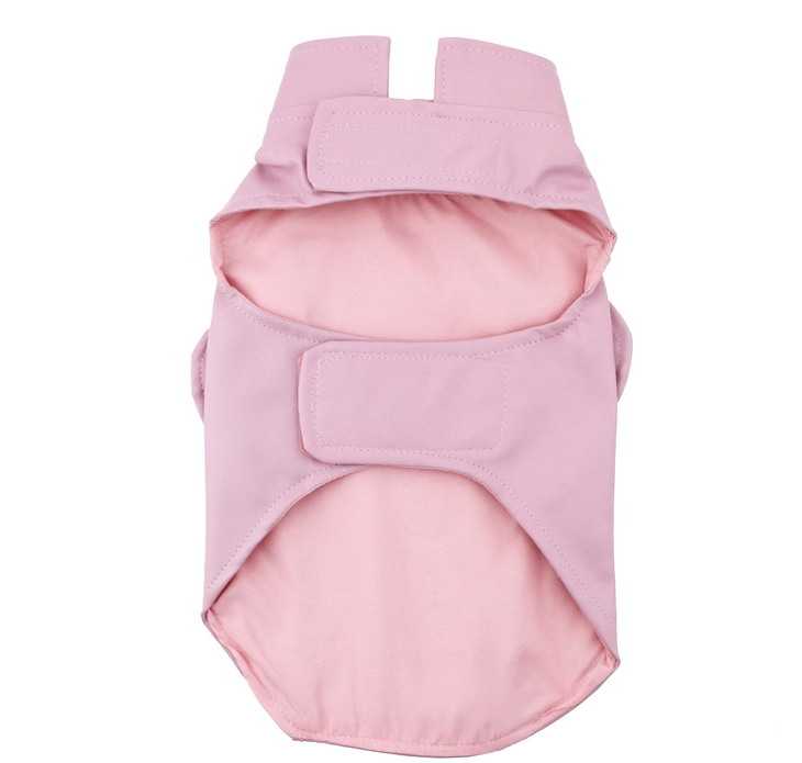 Dexter's Pet Boutique