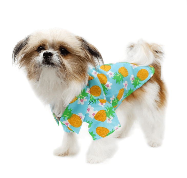 Dexter's Pet Boutique