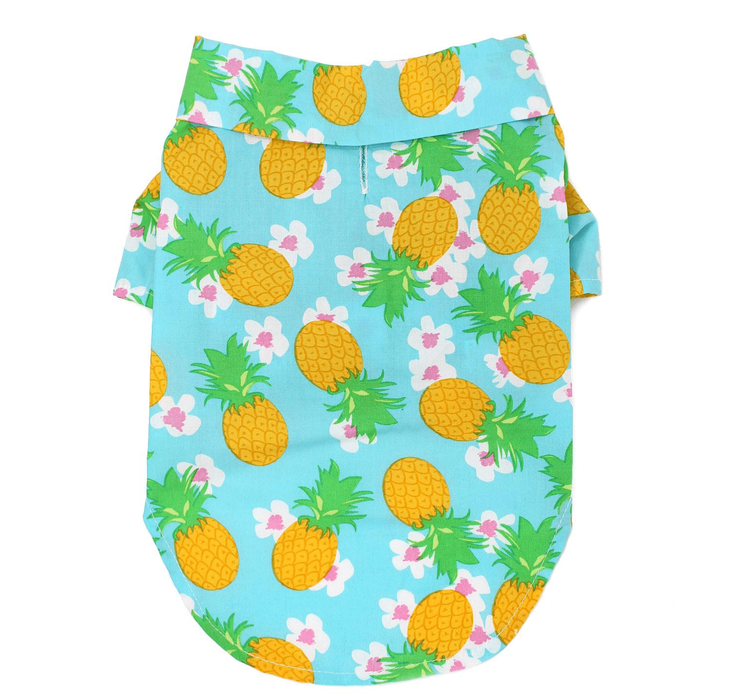 Dexter's Pet Boutique