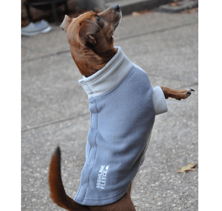 Dexter's Pet Boutique