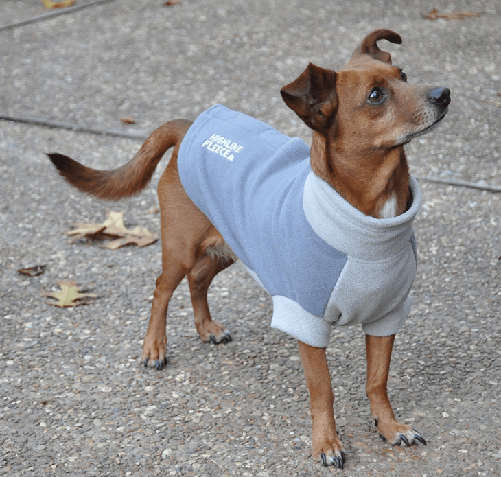 Dexter's Pet Boutique