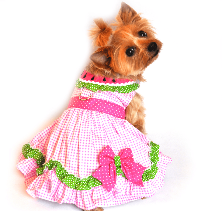 Dexter's Pet Boutique