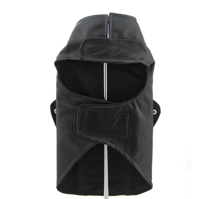 Dexter's Pet Boutique 