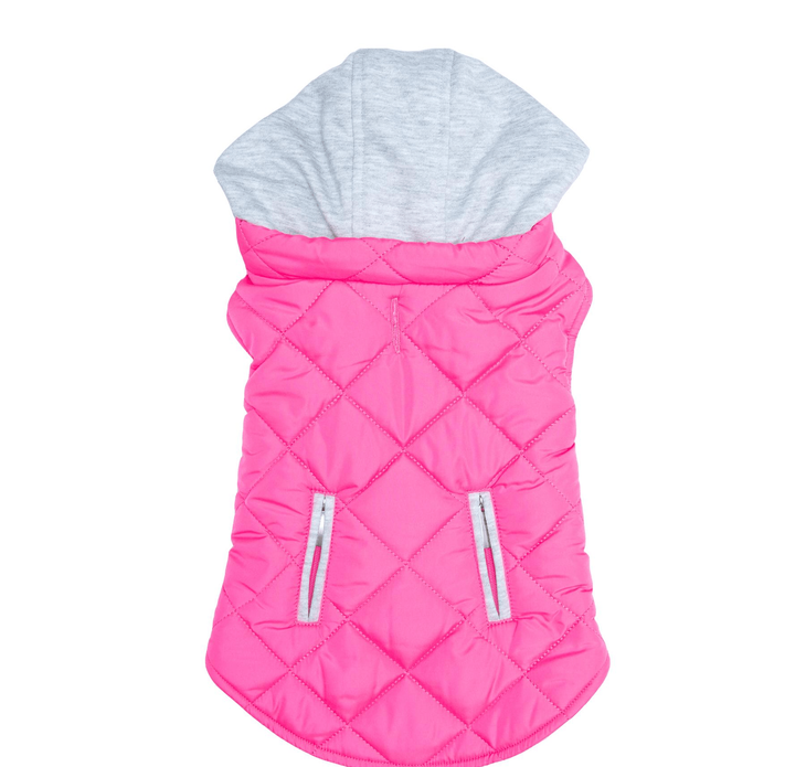 Dexter's Pet Boutique