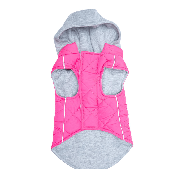 Dexter's Pet Boutique