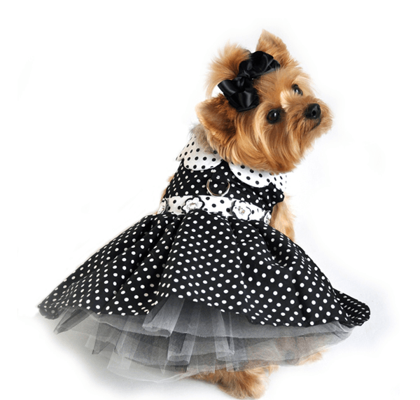 Dexter's Pet Boutique