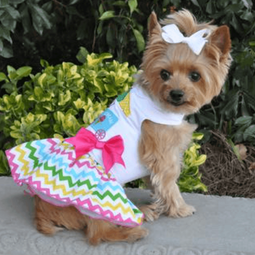 Dexter's Pet Boutique 