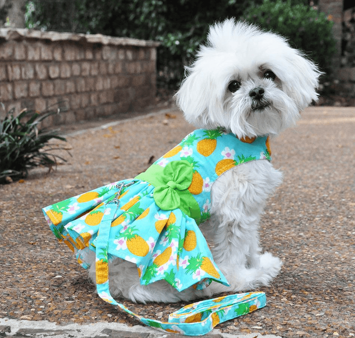 Dexter's Pet Boutique