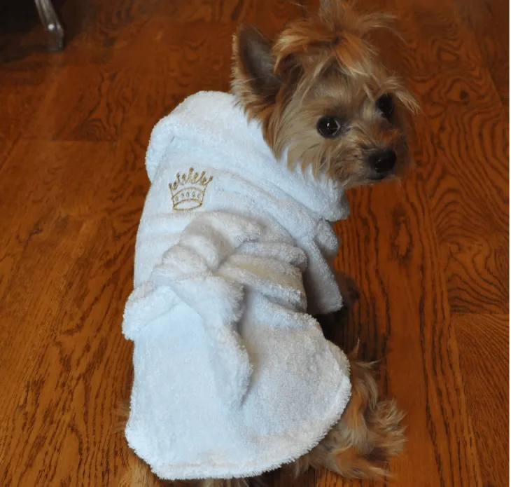 Dexter's Pet Boutique