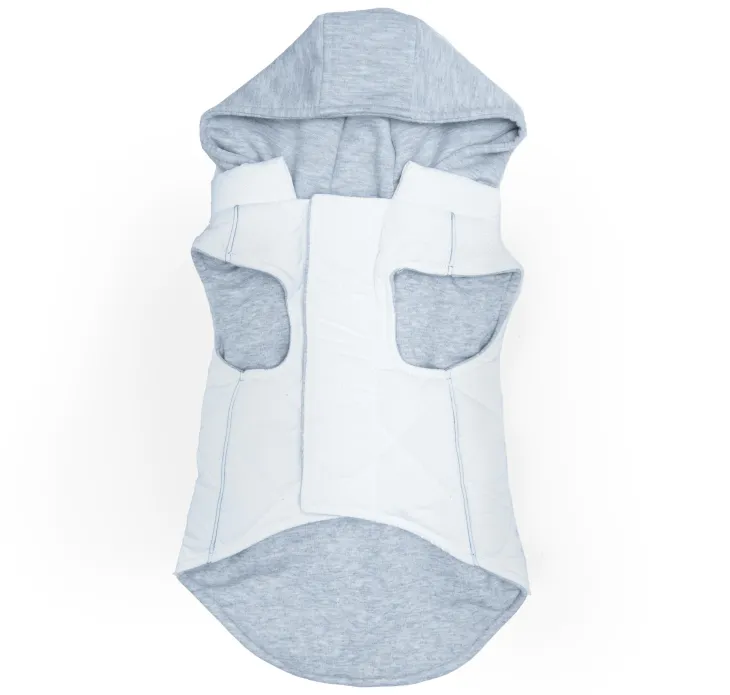 Dexter's Pet Boutique