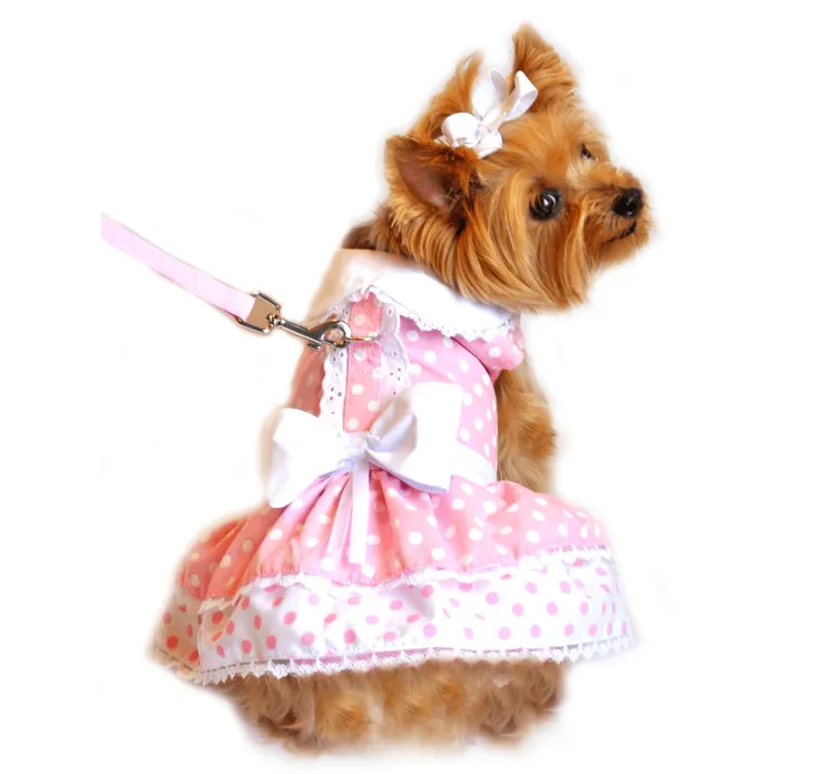 Dexter's Pet Boutique